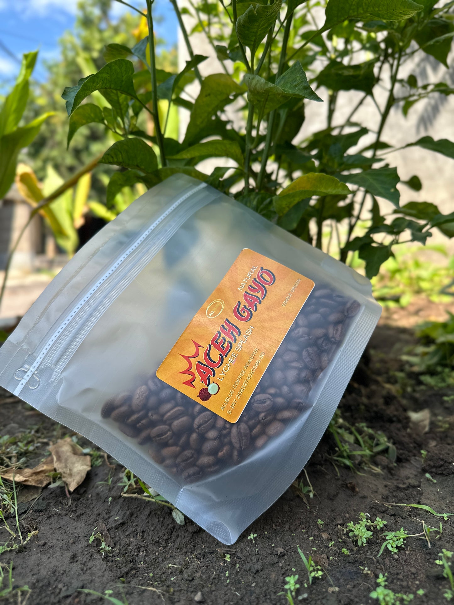 ACEH GAYO "LYCHEE SPLASH" Single Origin Coffee Beans | Medium Roast